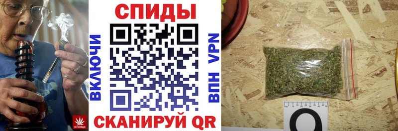 мориарти телеграм  Дальнереченск  БУТИРАТ оксана 