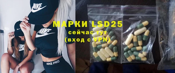 ПСИЛОЦИБИНОВЫЕ ГРИБЫ Абаза