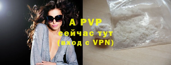 ПСИЛОЦИБИНОВЫЕ ГРИБЫ Абаза