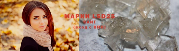 ПСИЛОЦИБИНОВЫЕ ГРИБЫ Абаза
