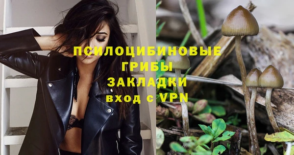 гашик Тутаев
